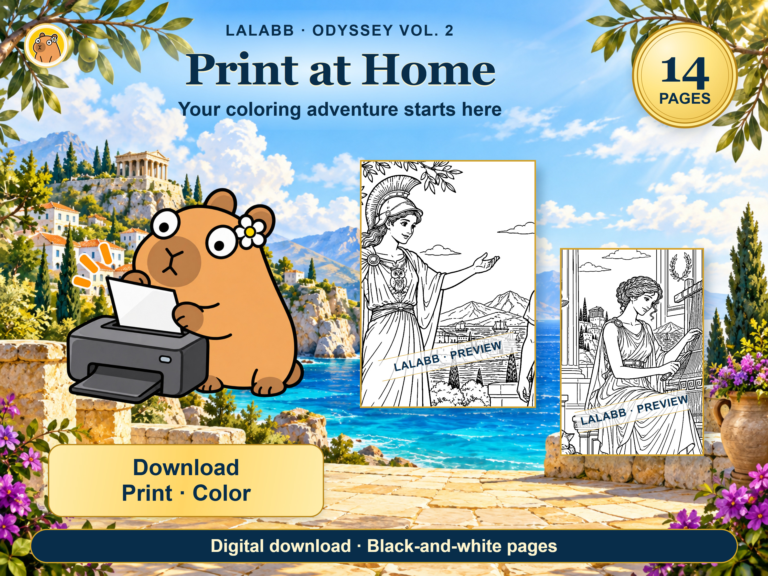 Approved home printing and black-and-white page preview.