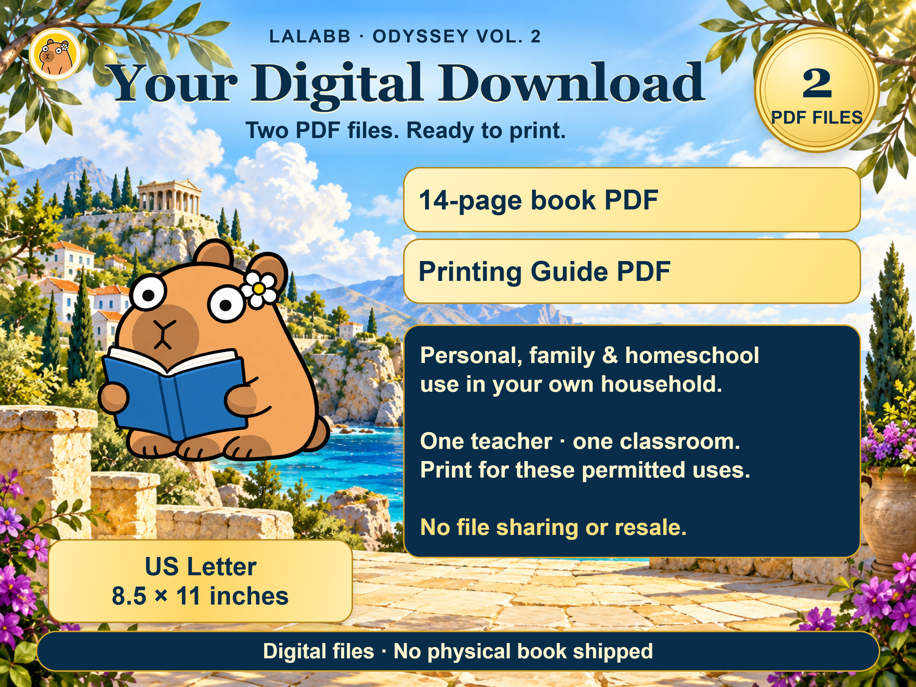 Approved digital files and permitted usage overview.